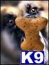 Used Dog Supplies for Sale
